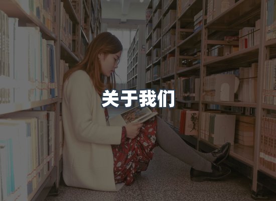 关于我们